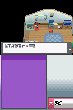 口袋妖怪：啟示錄外傳