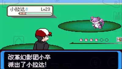 口袋妖怪：決心