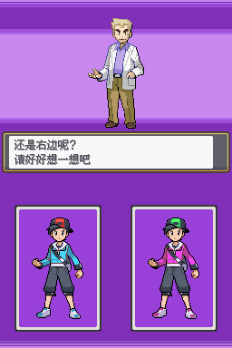 口袋妖怪：啟示錄外傳