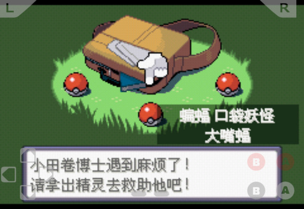 口袋妖怪：荒蕪的世界