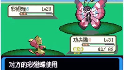 口袋妖怪：決心