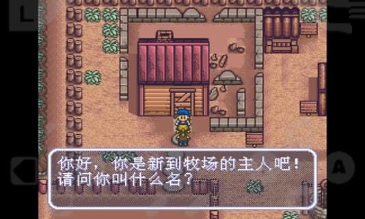 牧場物語：克羅狄斯版