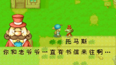 牧場物語：礦石鎮(zhèn)的伙伴們 中文版