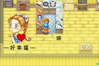 牧場物語：礦石鎮的伙伴們 女生版
