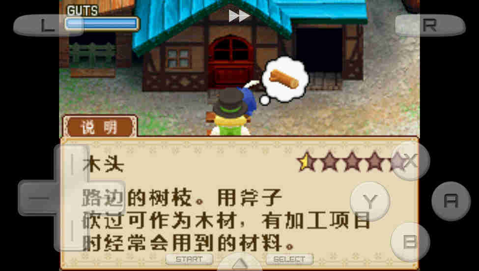 牧場物語：風(fēng)之集市