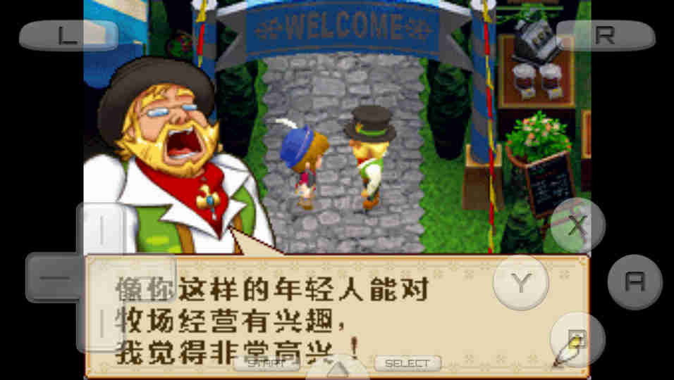 牧場物語：風(fēng)之集市