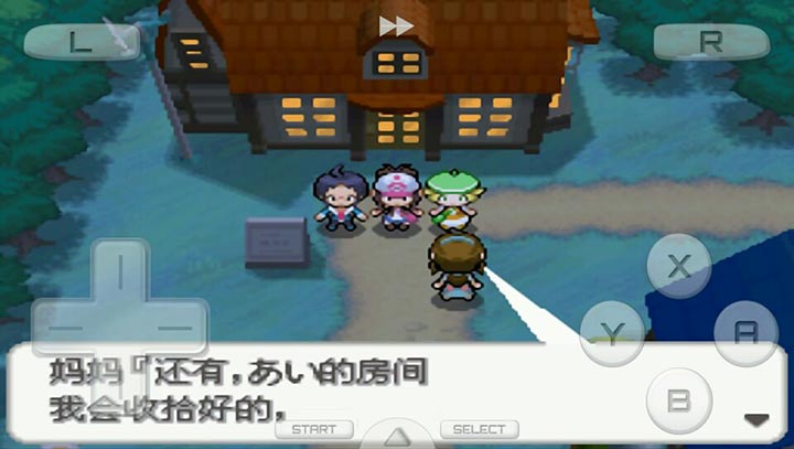 口袋妖怪：黑
