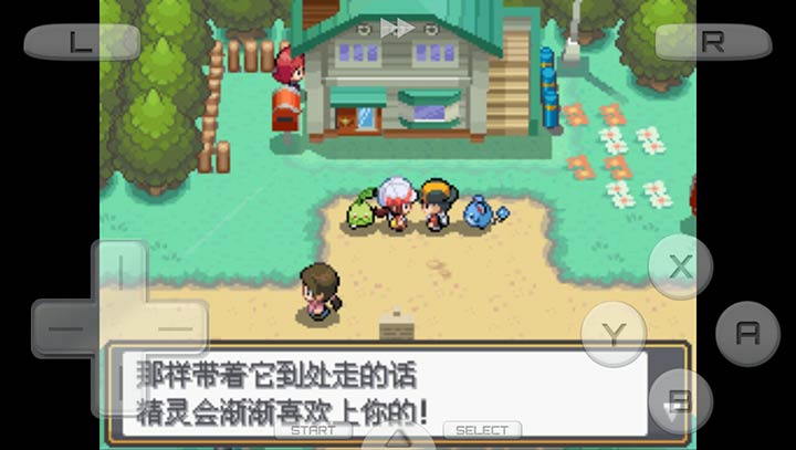 口袋妖怪：節(jié)操作死金終結(jié)版