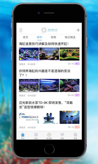 海精靈