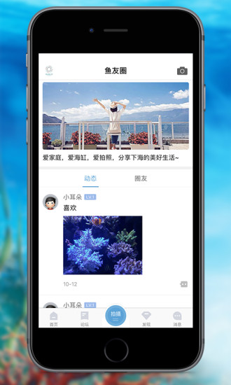 海精靈