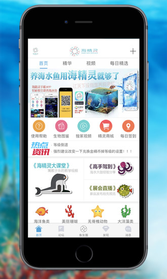 海精靈