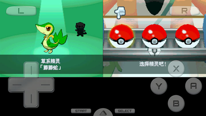 口袋妖怪白2