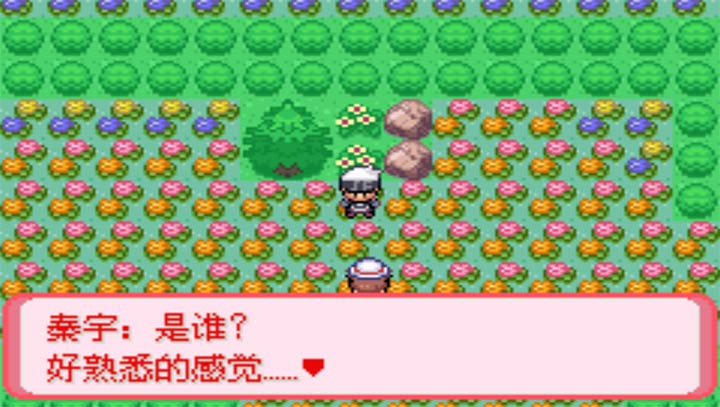 口袋妖怪暗古神壇6.0 Another Result