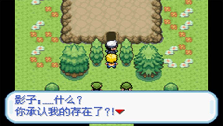 口袋妖怪：秩序的崩壞 漢化版