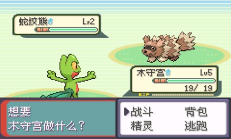 口袋妖怪：超級綠寶石 8.0