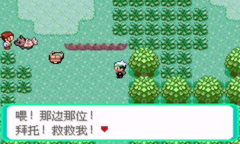 口袋妖怪：超級綠寶石 8.0