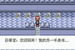 口袋妖怪 迷失夜5