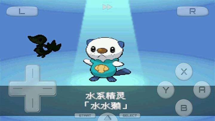 口袋妖怪黑2 649版