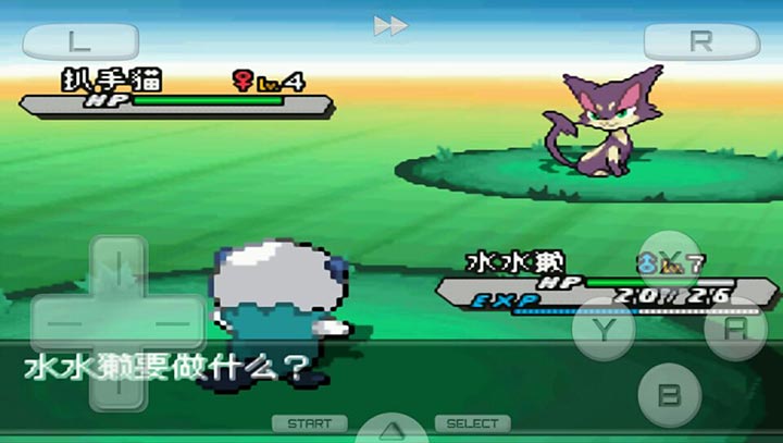口袋妖怪黑2 649版