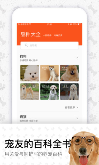 四只貓
