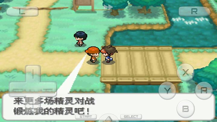 口袋妖怪黑2 649版
