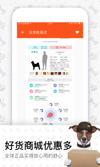 四只貓