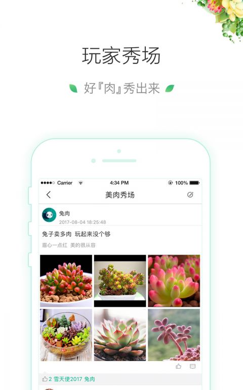 吾花肉