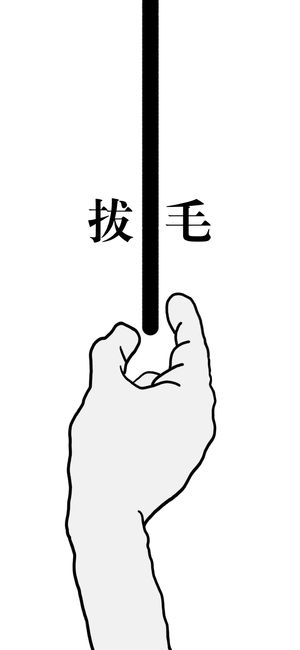 拔毛模擬器