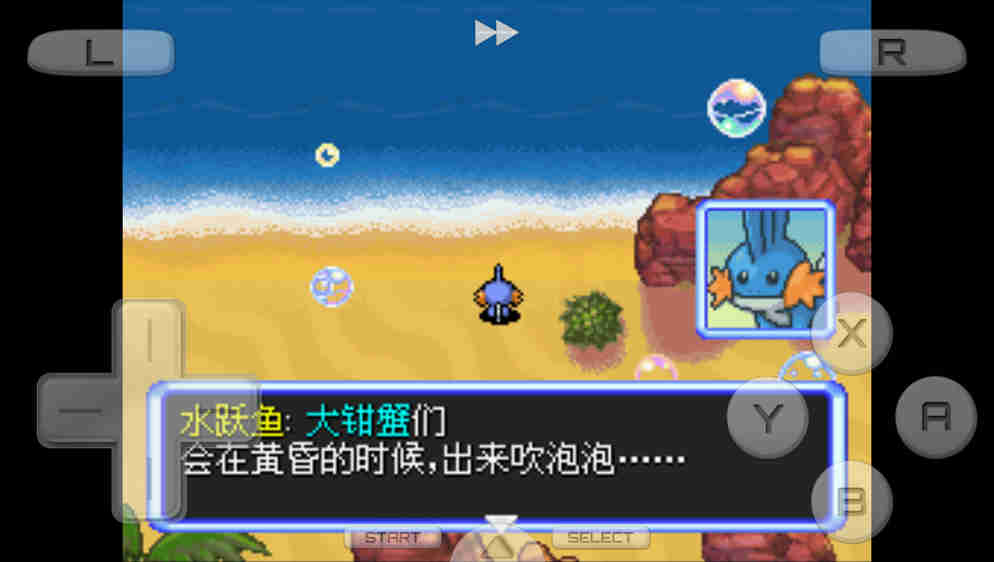口袋妖怪：空之探险队