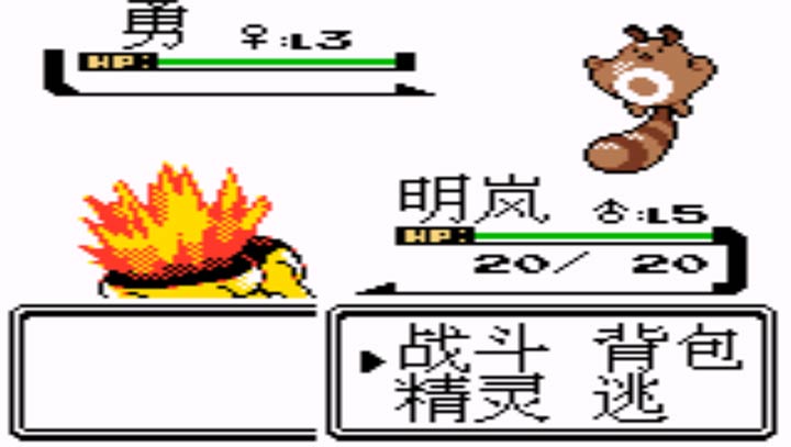 口袋妖怪：金