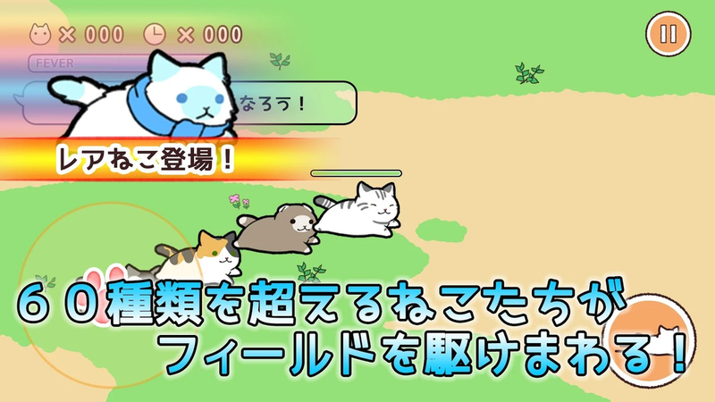 喵喵長跑