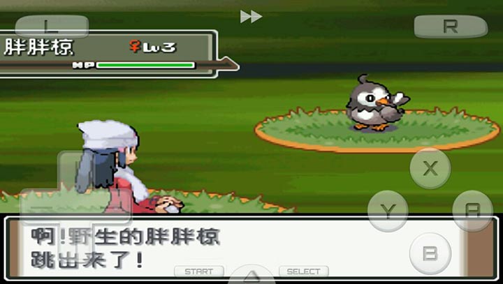 口袋妖怪 白金493漢化版