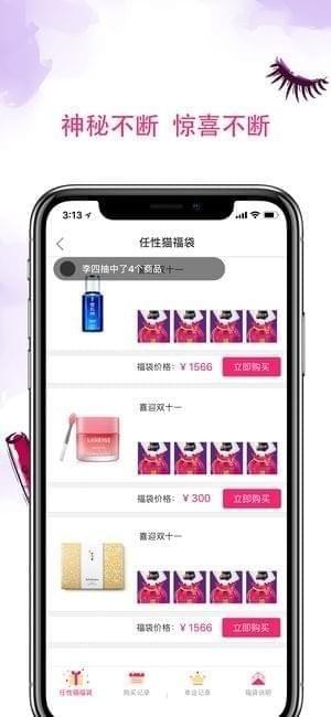 任性貓