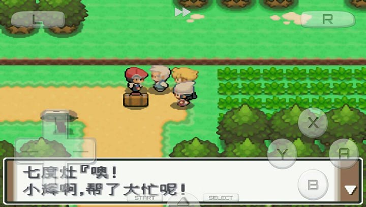 口袋妖怪 白金493漢化版