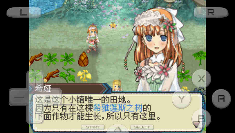 牧場物語：符文工房3