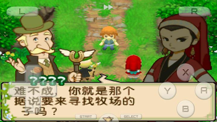 牧場物語：雙子村