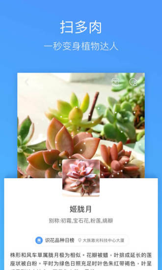 QQ瀏覽器2019最新版