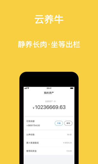 云養牛