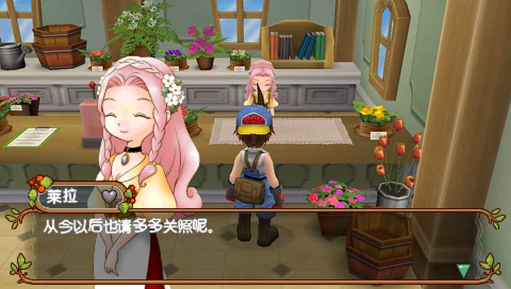 牧場物語：蜜糖村與大家的心愿
