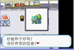 口袋妖怪 叶绿386 汉化版