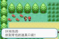 口袋妖怪 叶绿386 汉化版