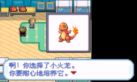 口袋妖怪：混沌大亂斗