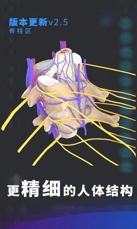 維薩里3D解剖