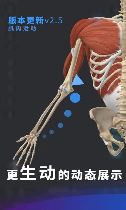 維薩里3D解剖