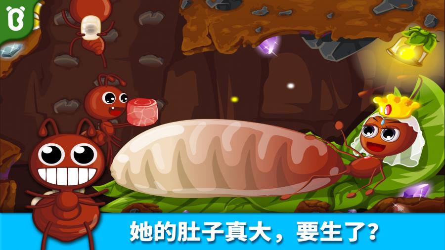 寶寶認螞蟻