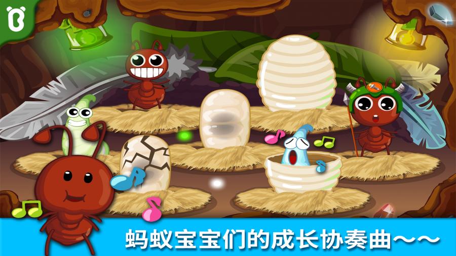 寶寶認螞蟻
