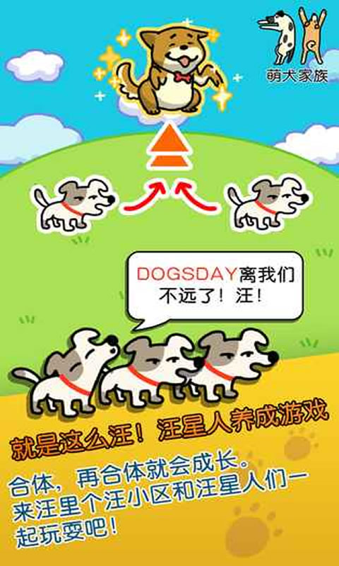 神偷汪星人