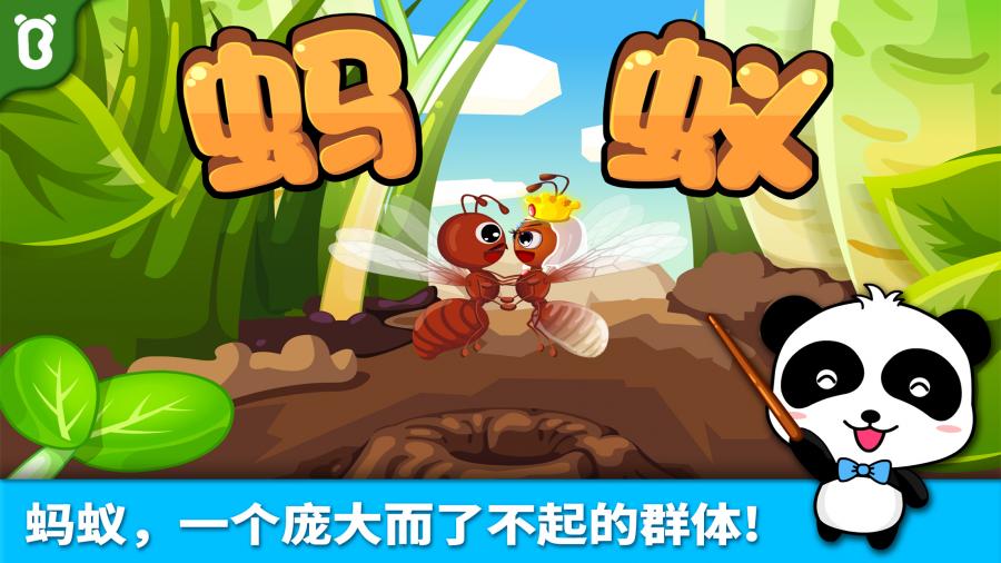 寶寶認螞蟻