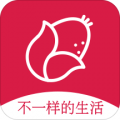 玉米豆