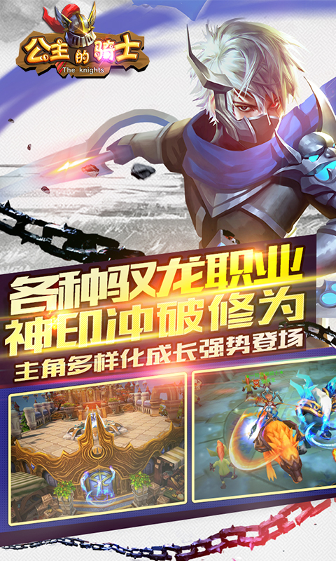 公主的騎士